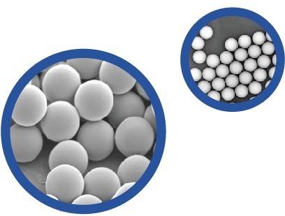 html苏州为度生物技术是一家专注于生物技术领域内微球产品